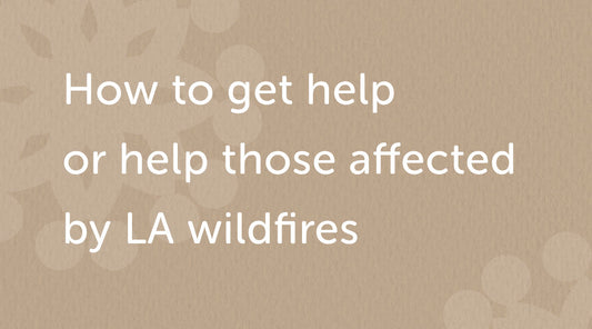 Catastrophic wildfires fueled by Santa Ana winds devastated our community. Many families near the fire zones need urgent support. To help, we’ve created a quick guide with trusted organizations aiding children, families, and affected communities.