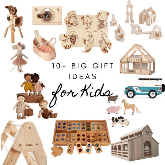 10+ Big Gift Ideas for Toddlers and Preschoolers